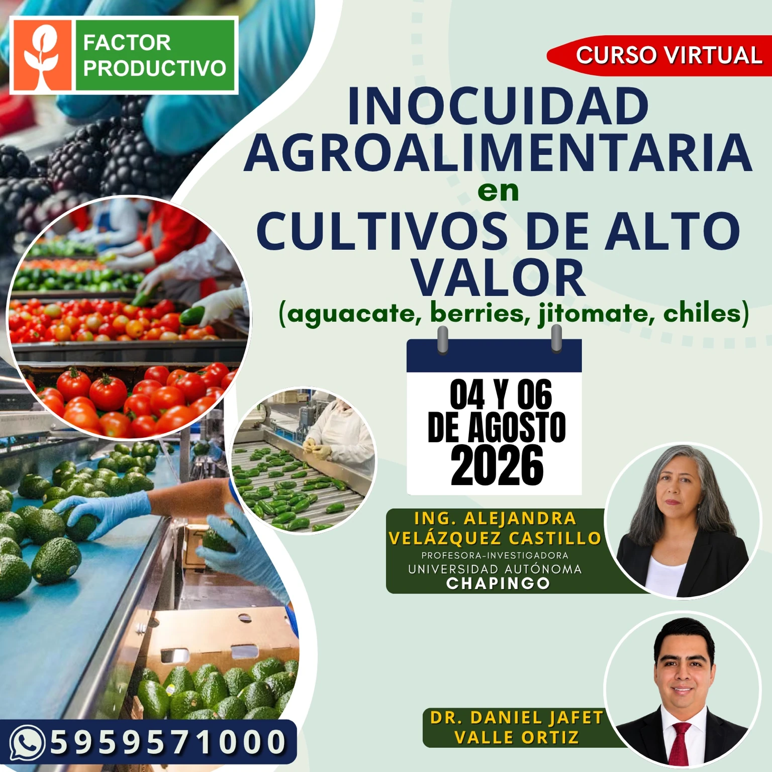Programa del curso Inocuidad Agroalimentaria en Cultivos de Alto Valor